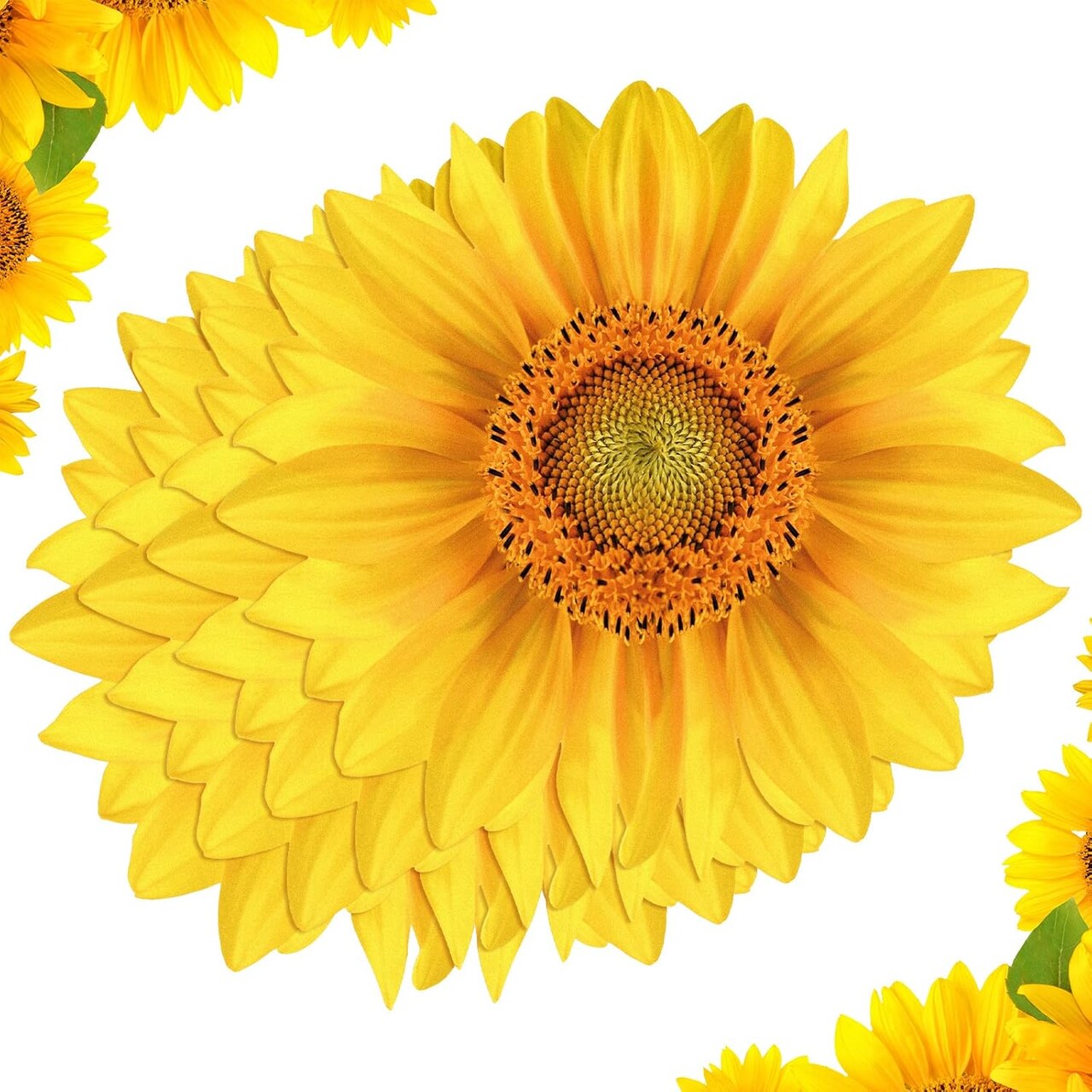 50 Packs Sunflower Paper Disposable Placemats 13 Inch Sunflower Summer Table Placemats